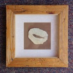 Fossil Fish in wooden box frame.