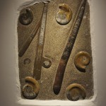 Stunning Orthoceras and Ammonite wall art